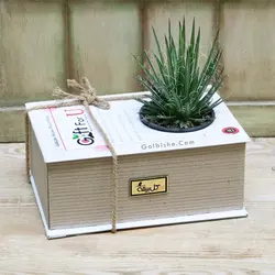 باکس کتاب گیاه آگاو