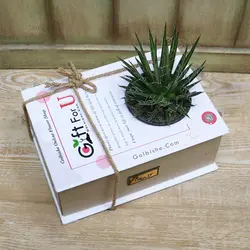 باکس کتاب گیاه آگاو