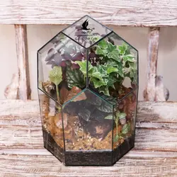 تراریوم گل مدل SkyBall