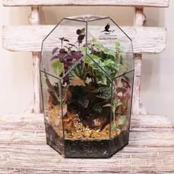 تراریوم گل مدل SkyBall