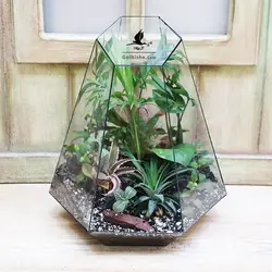 تراریوم شیشه ای مدل Victoria