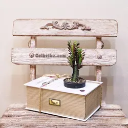 باکس کتاب گیاه افوربیا قرمز