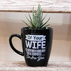 هدیه گیاه ماگ سورپرایز (3مدل‌گیاه)