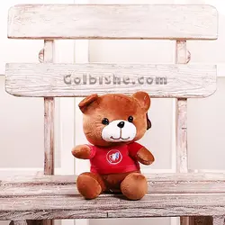 عروسک خرسی Lovely Teddy + شاخه رز