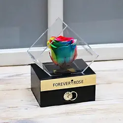 گل رز جاودان رنگین کمان در باکس پلکسی کشو دار