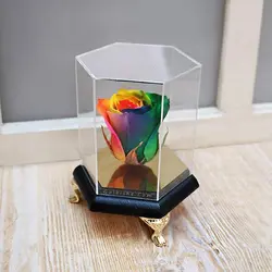 تندیس 6 ضلعی سه پایه طلایی رز جاودان رنگین کمان