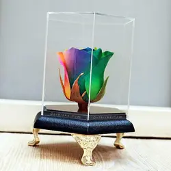 تندیس 6 ضلعی سه پایه طلایی رز جاودان رنگین کمان