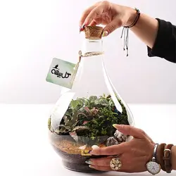 تراریوم پوپک Vip ( ساده و یا مدل آباژوری )