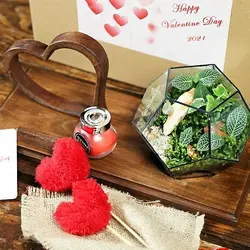 استند پایه چوبی قلبی تراریوم چند ضلعی