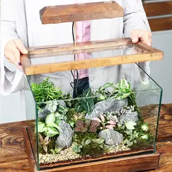 تراریوم مدل سوپر بتا