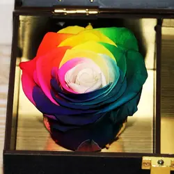 جعبه گل رز جاودان موزیکال مدل Infinity