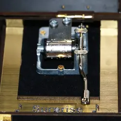 جعبه گل رز جاودان موزیکال مدل Infinity