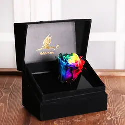 جعبه گل لاوین مشکی با گل رز جاودان رنگین کمان