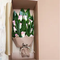 دسته گل رز هلندی لب ماتیکی ۱۵،۱۱،۷ شاخه ( به همراه جعبه و بسته بندی )