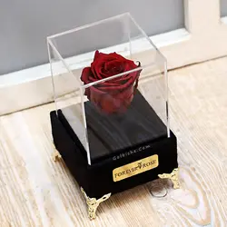 تندیس مخملی گل رز جاودان قرمز