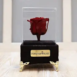 تندیس مخملی گل رز جاودان قرمز