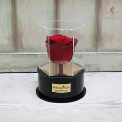 جعبه گل رز جاودان مدل Hexagon