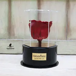 جعبه گل رز جاودان مدل Hexagon