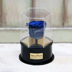جعبه گل رز جاودان مدل Hexagon