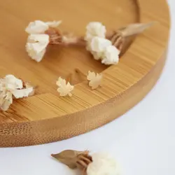 گوشواره طلا طرح برگ J0014