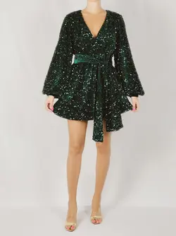 Green velvety sequin dress