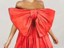 HOBRAT papion tafeta dress