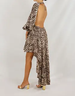 Silk zebra dress