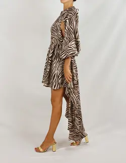 Silk zebra dress