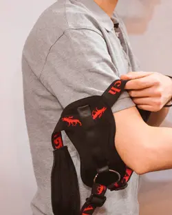 قوزبند کلاویکال