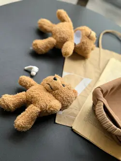 کاور ایرپاد تدی عروسک پشمی رنگ روشن - jijstore جیج استور