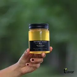 عسل جنگل بهاره