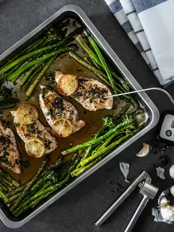 سیر له کن ایکیا مدل KONCIS