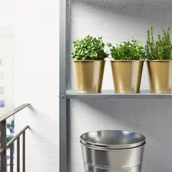 گلدان گیاه طلایی آیکیا مدل DAIDAI متوسط