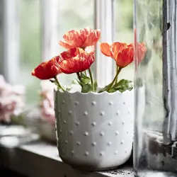 گلدان گیاه آیکیا مدل SESAMFRÖN