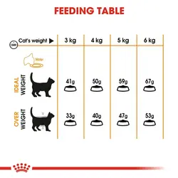 غذای خشک گربه مراقبت پوست و مو رویال کنین 10کیلویی – Royal Canin Hair &amp; Skin 10kg