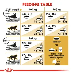 غذای گربه بریتیش ادالت رویال کنین 4کیلویی – Royal Canin British Shorthair 4kg
