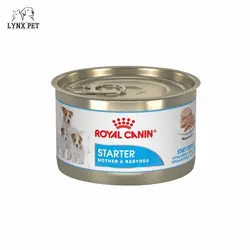 کنسرو استارتر مادر و توله سگ رویال کنین – Royal Canin Starter Mousse