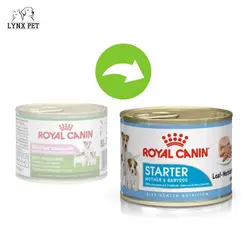 کنسرو استارتر مادر و توله سگ رویال کنین – Royal Canin Starter Mousse