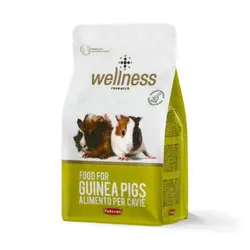 غذای سوپر پرمیوم خوکچه هندی پادوان – Wellness Guinea Pigs