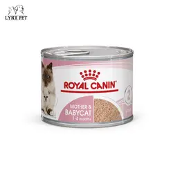 کنسرو بچه گربه و مادر رویال کنین – Royal Canin Mother &amp; Babycat