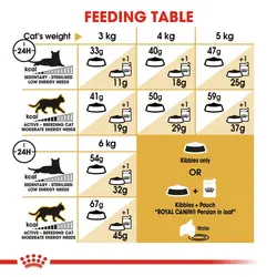 غذای خشک گربه پرشین ادالت رویال کنین  4 کیلویی – Royal Canin Persian Adult 4kg