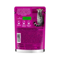 غذای پوچ گربه ویسکاس مدل پته مرغ و بوقلمون وزن ۷۵ گرم – Whiskas Turkey &amp; Chicken Wet