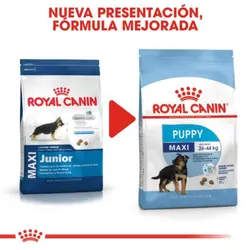 غذای خشک توله سگ مکسی پاپی رویال کنین 15کیلوگرم – Royal Canin Maxi Puppy 15kg