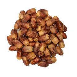 خرید خرما خشک یا زاهدی (zahedi-date)? قیمت خرما زاهدی تازه و امساله