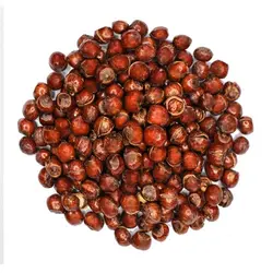 خرید فندق با پوست بو داده (hazelnuts-with-skin)? قیمت فندق با پوست نمکی