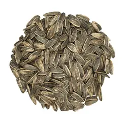 خرید تخمه دور سفید کانادایی(round-white-sunflower-seeds)? قیمت تخمه دورسفید