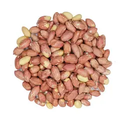 خرید مغز بادام زمینی آستانه (astane-peanut-kernels)? قیمت مغز بادام زمینی درشت آستانه