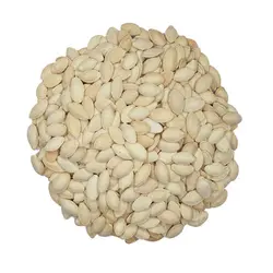 خرید تخمه کدو گوشتی کم نمک (raw-Fandoghi-pistachios)? قیمت تخمه کدو رژیمی خوی تازه