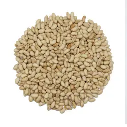 خرید سویا آجیلی (soybeans)?  قیمت سویا بوداده آجیلی