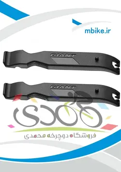 تایلیور جاینت